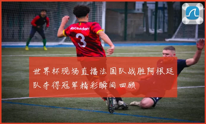 世界杯现场直播法国队战胜阿根廷队夺得冠军精彩瞬间回顾