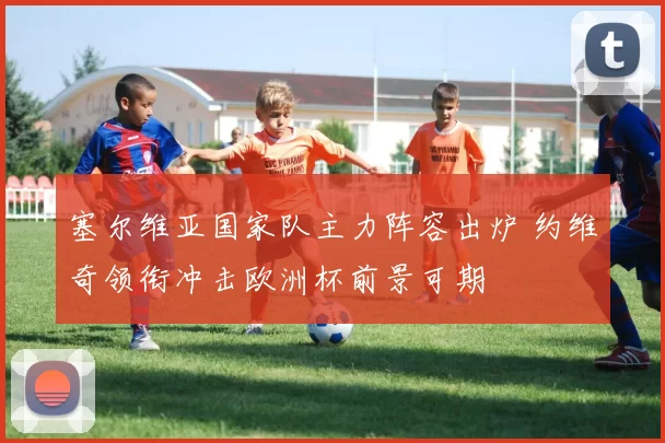 塞尔维亚国家队主力阵容出炉 约维奇领衔冲击欧洲杯前景可期