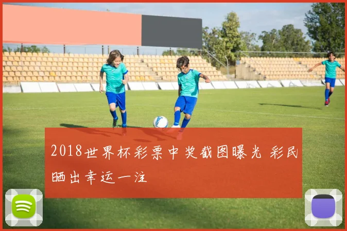 2018世界杯彩票中奖截图曝光 彩民晒出幸运一注